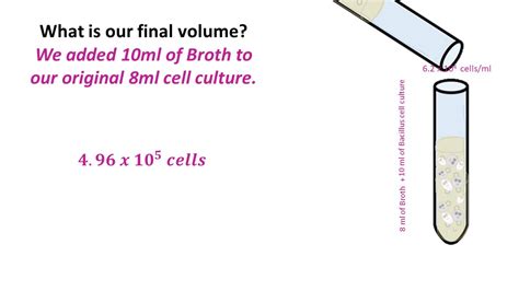 Dilution Series and Calculations - SCIENTIST CINDY