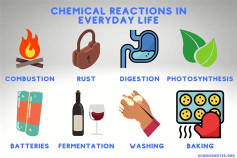 Examples of Chemical Reactions in Everyday Life