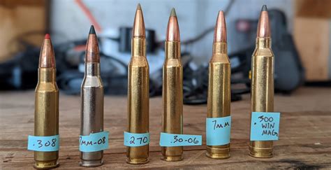 Ammo Caliber Size Chart Sportsman's Warehouse, 59% OFF