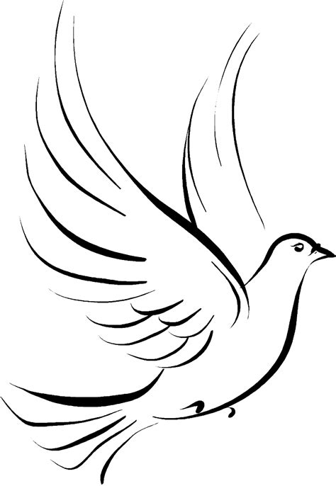 Dove Funeral - Dove Clip Art Png Transparent Png - Full Size Clipart ...