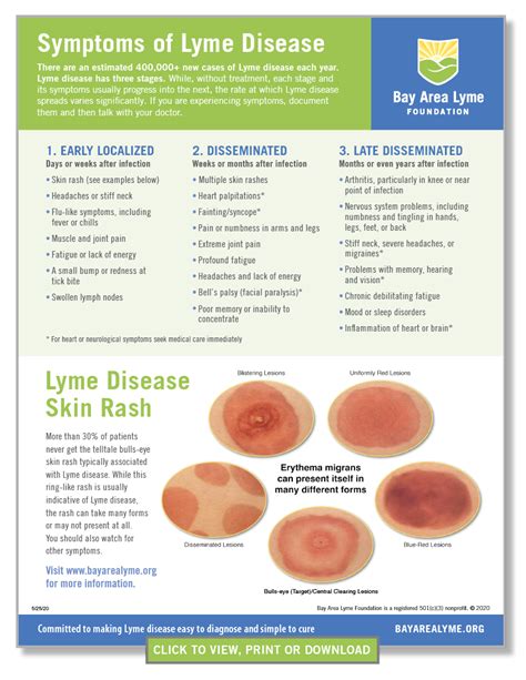 Can A Tick Bite Cause Swollen Lymph Nodes In Dogs