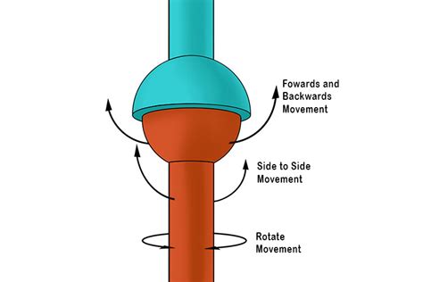 Ball and Socket Joint - Mammoth Memory definition - remember meaning