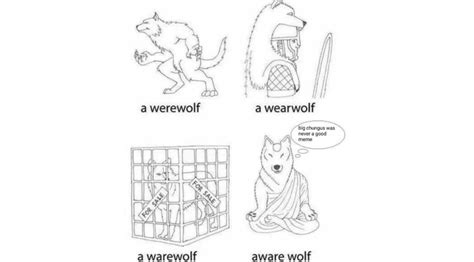 Aware Wolf | Know Your Meme