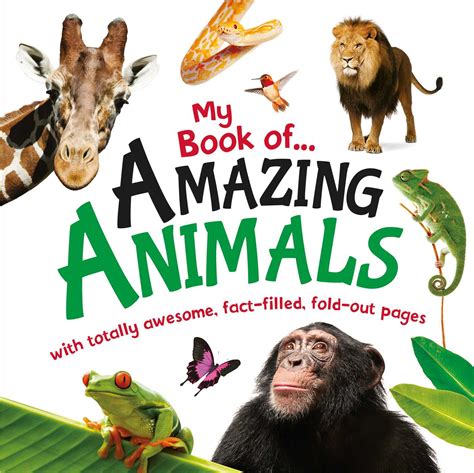 My Book of Amazing Animals | Book by IglooBooks | Official Publisher ...