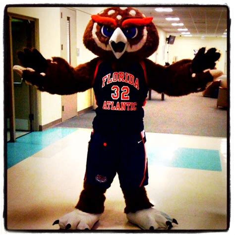 Owlsey, FAU Owls mascot | College Mascots: C-USA | Pinterest | Owl