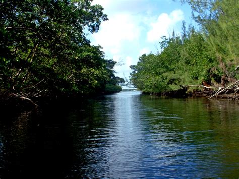 South Florida Guy: Kayaking Oleta River State Park - North Miami