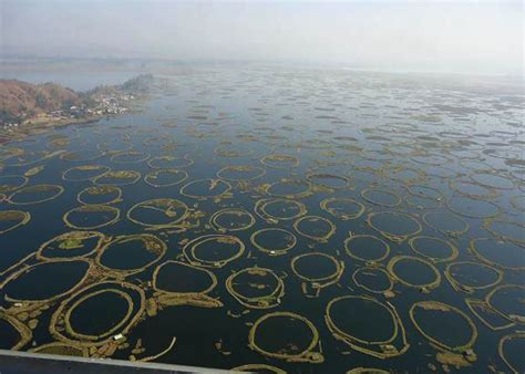 Loktak lake the only Floating lake in the world from Manipur state in ...