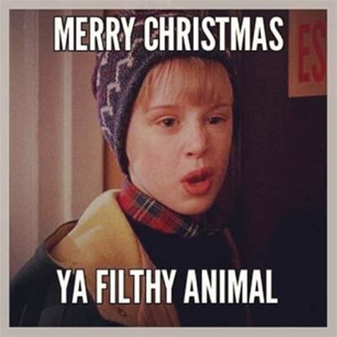 100 Funniest Merry Christmas Memes - SayingImages.com