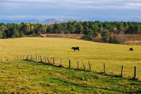 About The Amtrak Adirondack Train To Montreal | Frugal Frolicker