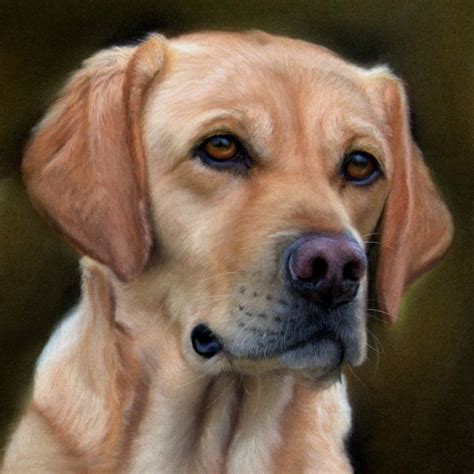 Custom Pet Portraits - Helen's Pet Portraits