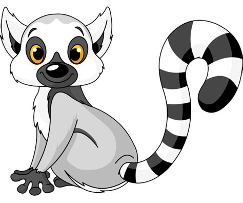 Lemur PNG Images Transparent Background | PNG Play