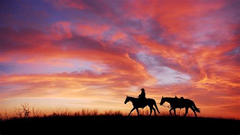 Sunset Horse Wallpapers - 4k, HD Sunset Horse Backgrounds on WallpaperBat