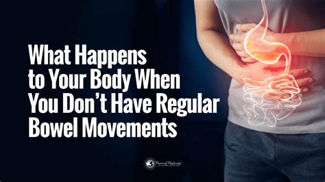 Doctors Explain What Happens to Your Body When You Don't Have Regular ...