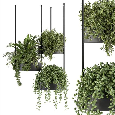 Indoor Plant Set 354 - Hanging Plants - 3D Model for VRay, Corona