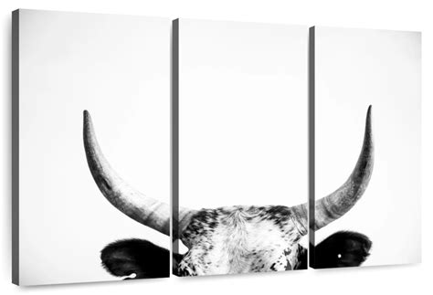 Cow Horns Wall Art | Photography