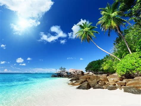 Paradise Beach HD Wallpapers - Top Free Paradise Beach HD Backgrounds ...