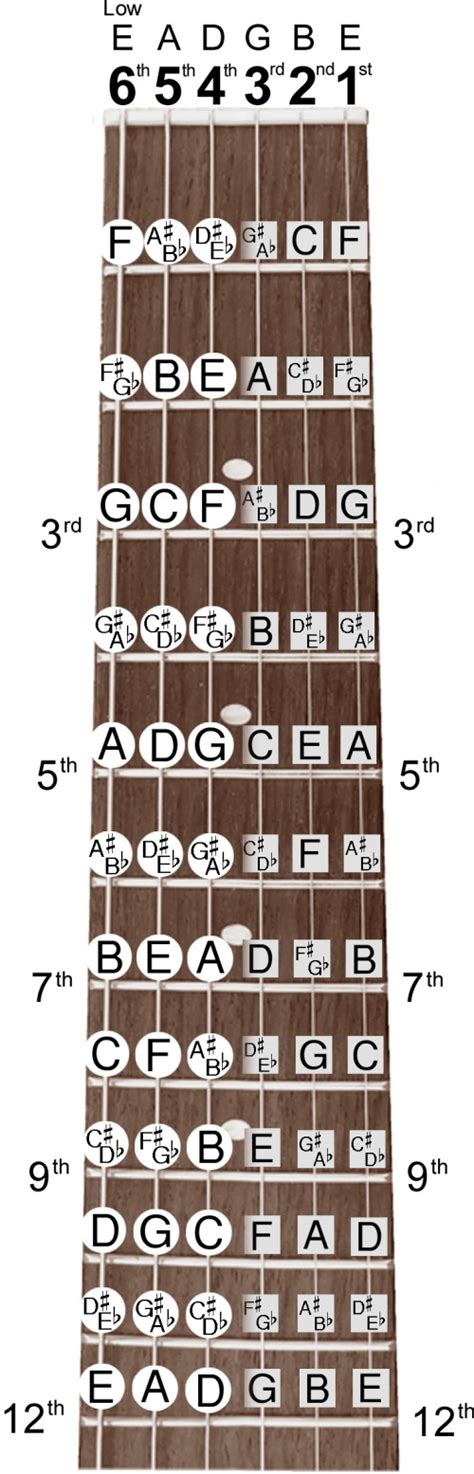 Guitar Note Chart | E major Chord | B Major Chord