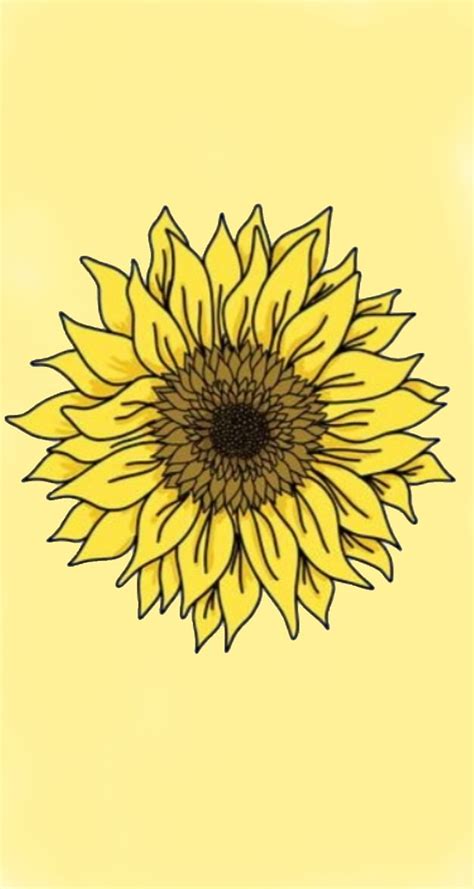 Aesthetic sunflower, cute, pastel, yellow, HD phone wallpaper | Peakpx