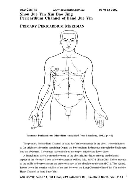 Pericardium Meridian | Arm | Thorax