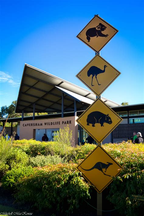 Caversham Wildlife Park. Perth, Australia. 2012 | Sydney australia ...