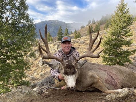 Guided Mule Deer Hunting In Idaho | Guaranteed Tags | Mile High Outfitters