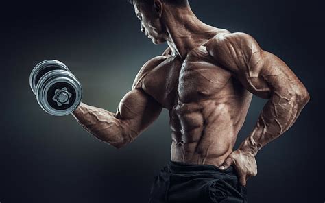 Bodybuilding 1080P, 2K, 4K, 5K HD wallpapers free download | Wallpaper ...