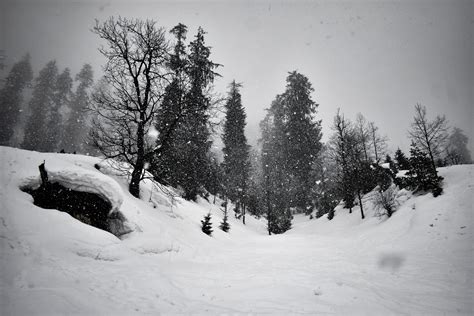 Snowfall in Manali - PixaHive