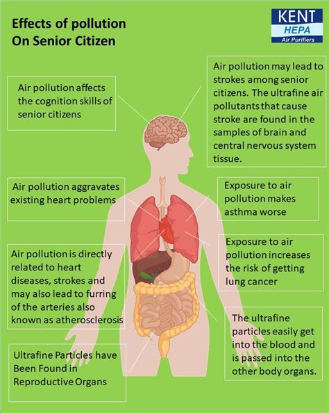 How air pollution affects senior citizens?