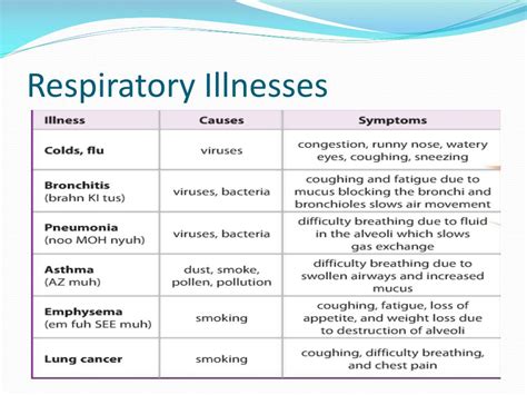 PPT - Respiratory System PowerPoint Presentation, free download - ID ...