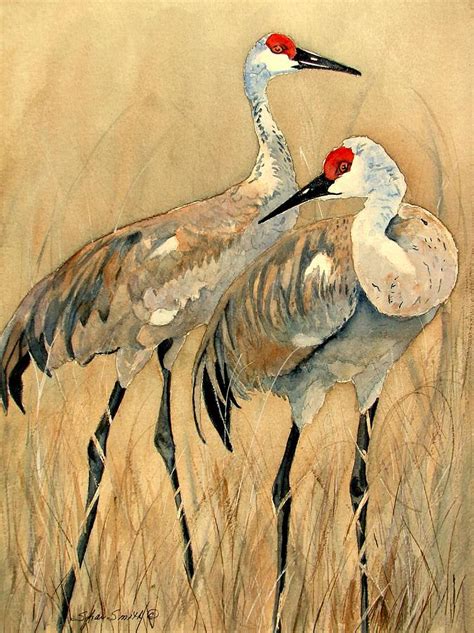 Sandhill Cranes Painting by Sharlotte Smith - Fine Art America