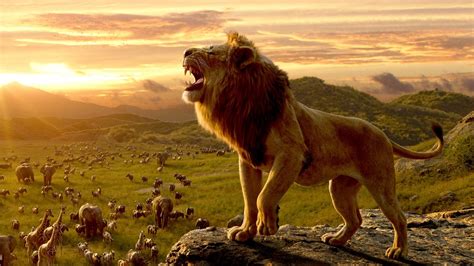 The Lion King Soundtrack (2019) & Complete List of Songs | WhatSong