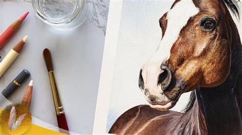 Realistic Colored Pencil Horse Drawing - Timelapse - YouTube