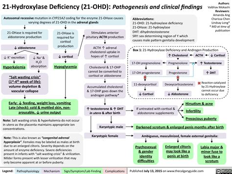 21-Hydroxylase Deficiency (21-OHD): Pathogenesis and Clinical Findings ...