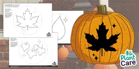 Botanical Themed Pumpkin Carving Stencils - Templates