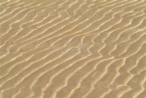 Sand shapes in a beach stock photo. Image of ripples, shapes - 5563084