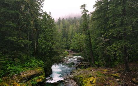 Online crop | HD wallpaper: river, trees | Wallpaper Flare