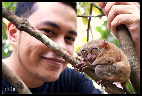 Travel ^ Adventure ^ Photography: All about PHILIPPINE TARSIER