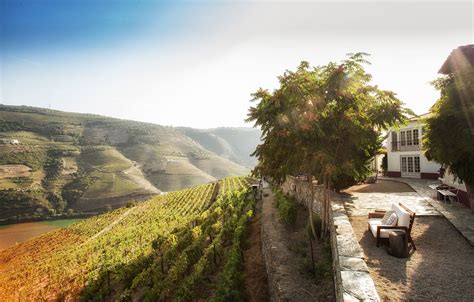 Eight of the best wine tasting spots on a Douro river cruise | River ...