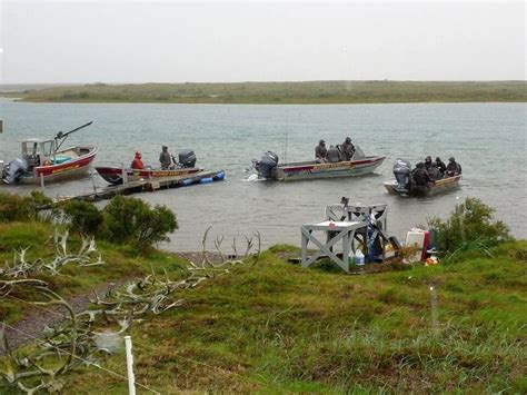 Becharof Rapids Camp Alaska Fishing Lodge