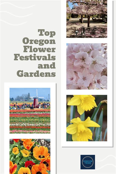 Top Oregon Flower Festivals and Gardens in 2024 - Dinkum Tribe