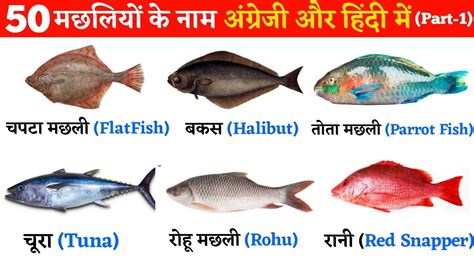 Types Of Fish Names