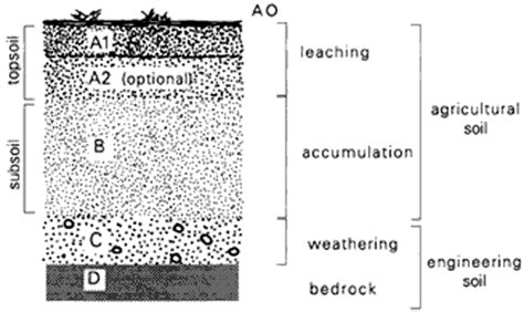 Soil Profiles