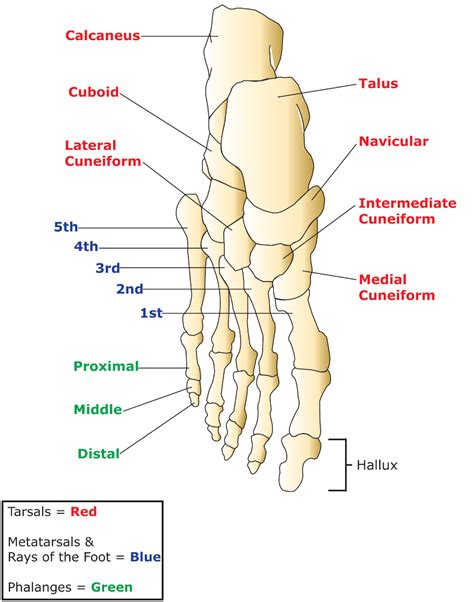 Feeling Detached from Foot Amputation ICD-10-PCS Coding?