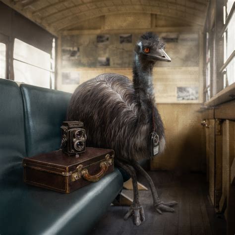 Emu Ride - Story Art Gallery