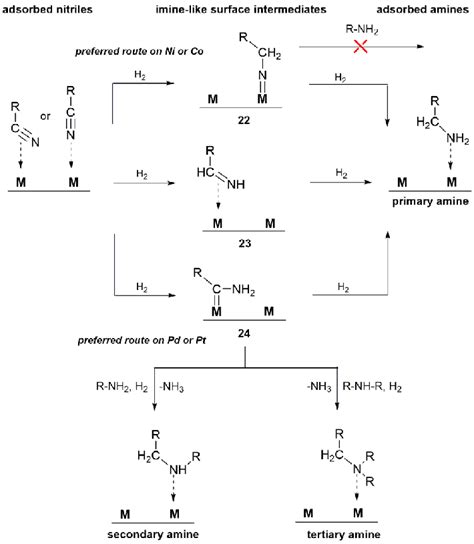 Mechanistic proposal of surface reactions for heterogeneous nitrile ...