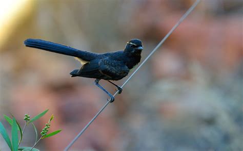 7 Reasons to go Beyond Uluru and Visit Kings Canyon