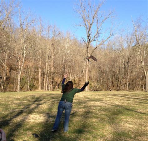 Nature Center passes torch to Appalachian Wild | Mountain Xpress