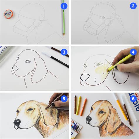 Como Dibujar Un Perro Facilmente