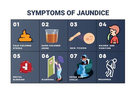 Jaundice: Causes, Symptoms, and Diagnostic Tests for Liver Function