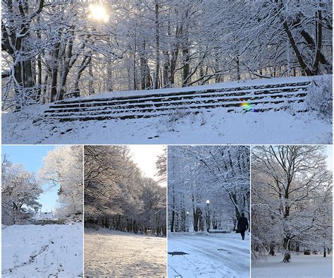 Snowy Park - PHOTO PACK